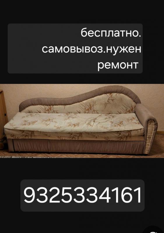 Отдам .сафа - Новотроицк