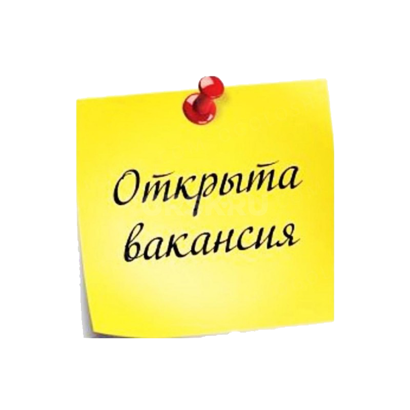 На удаленную работу требуется менеджер. - Орск