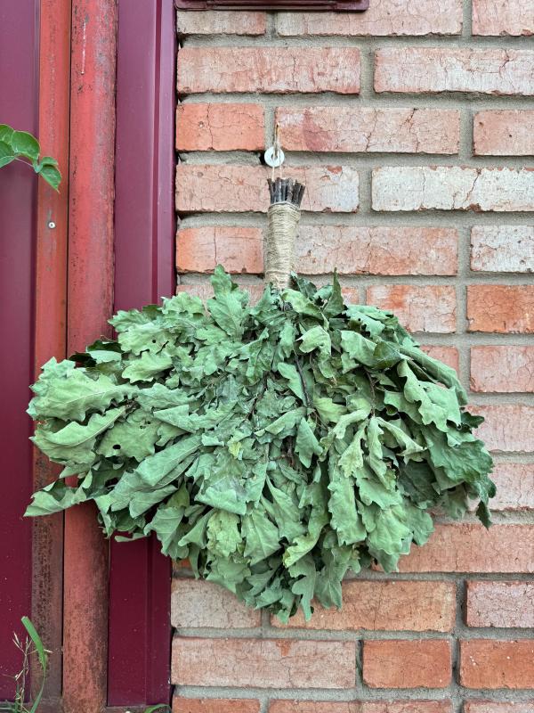 Идеальный банный веник — залог здоровья и отличного настроения! - Новотроицк