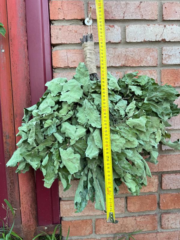 Идеальный банный веник — залог здоровья и отличного настроения! - Новотроицк