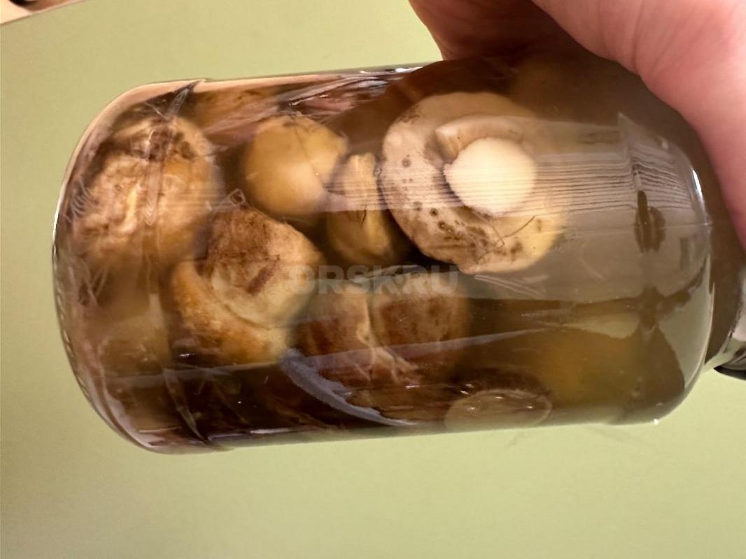 Грибы соленые, маринованные, мороженные, автоклавные (консервированные) и сушеные

Соленые грибы — - Орск