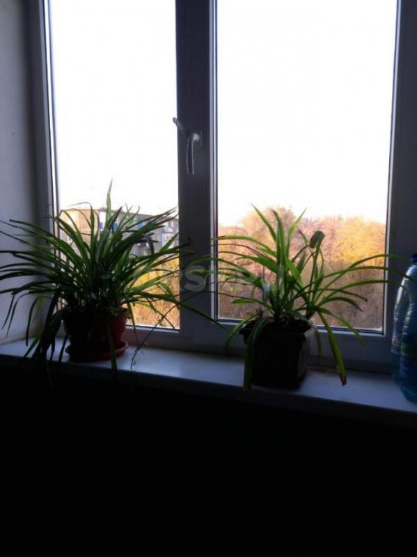 Продам в центре города трехкомнатную квартиру площадью 58,2 квадратных метра. - Орск