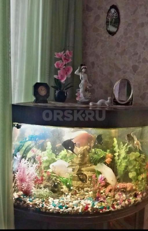 Угловой аквариум с тумбочкой, объем 160 литров, с крупными рыбками (11 штук), компрессором для возду - Орск