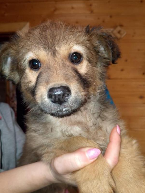 Орск, Новотроицк, Гай, Медногорск, Кувандык и другие населённые пункты ! - Орск