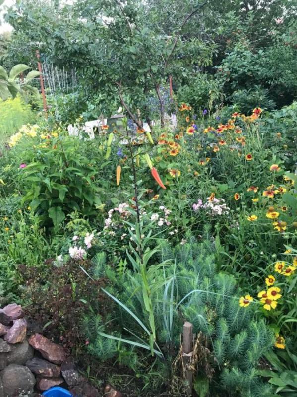 продам сад в СНТ 10 ЮУМЗ площадь 6 соток,домик,застекленная веранда,площадка для стоянки машины,пров - Орск