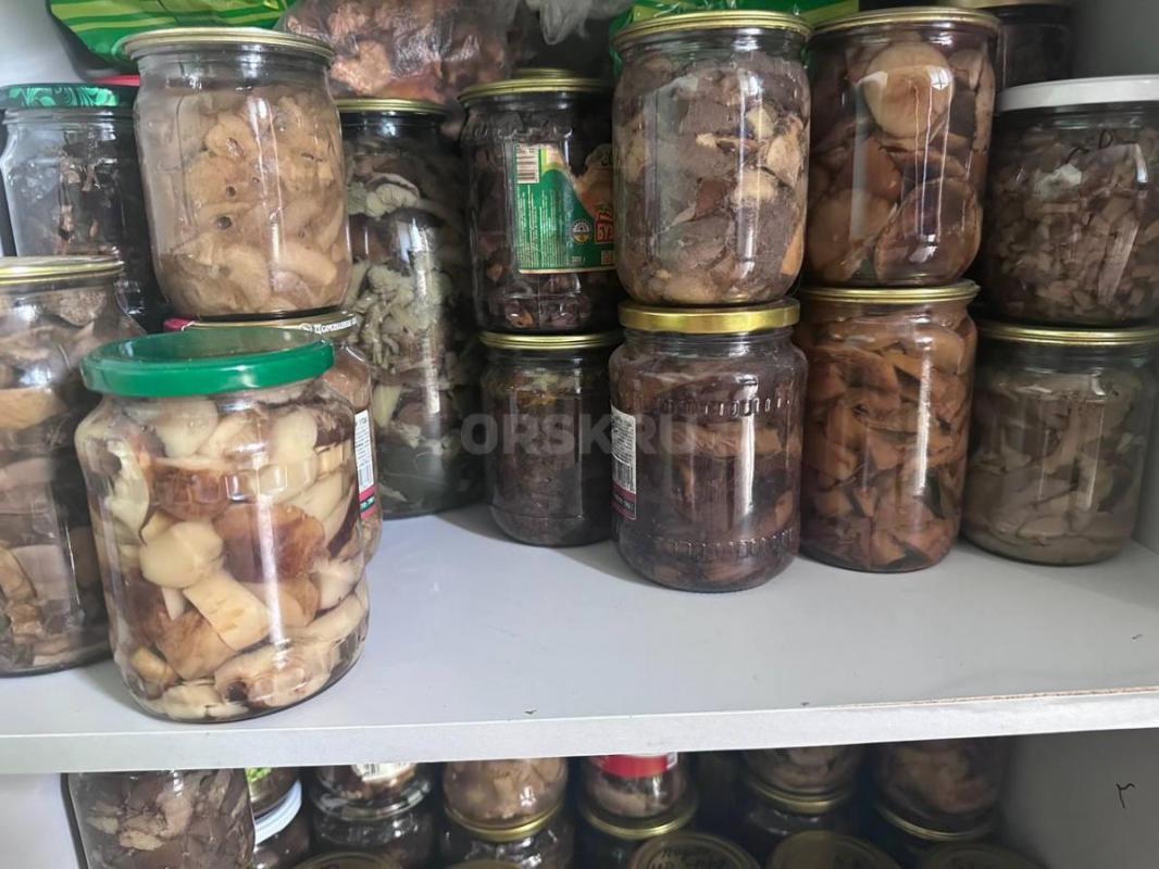 Грибы соленые, маринованные, мороженные, автоклавные (консервированные) и сушеные

Соленые грибы — - Орск