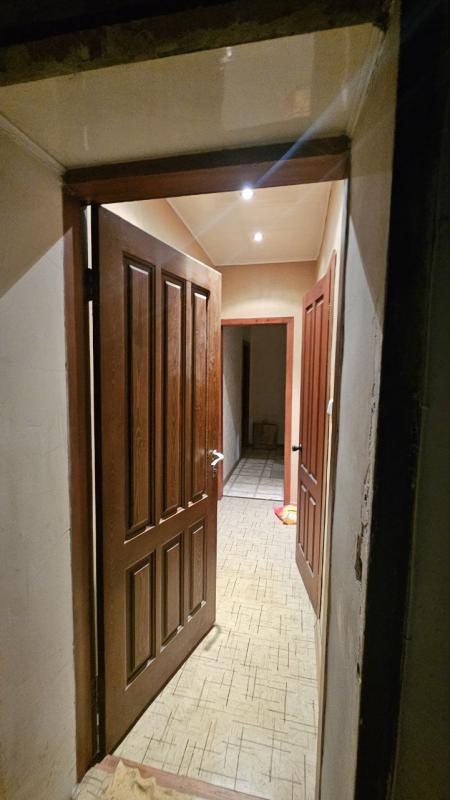 Один взрослый собственник. - Новотроицк