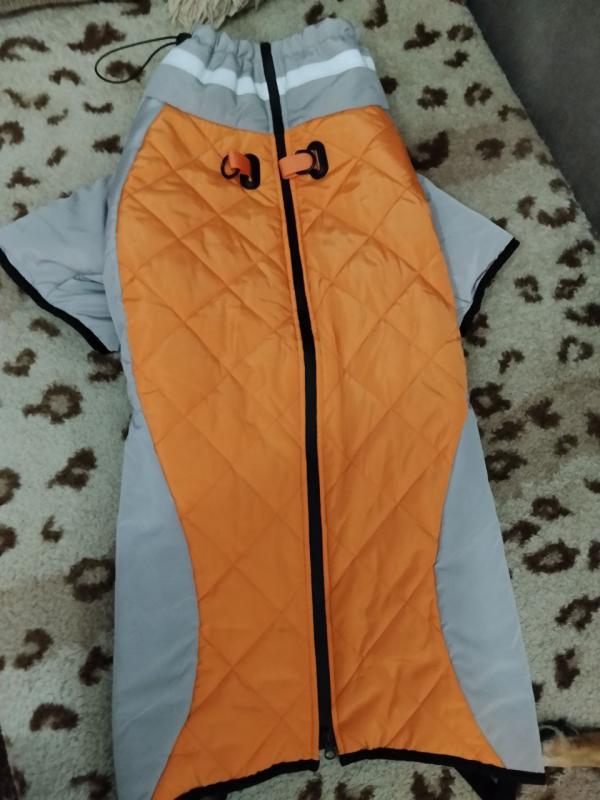 Продам зимнее пальто для крупной собаки размер 6XL , новый . 89510389246 - Новотроицк