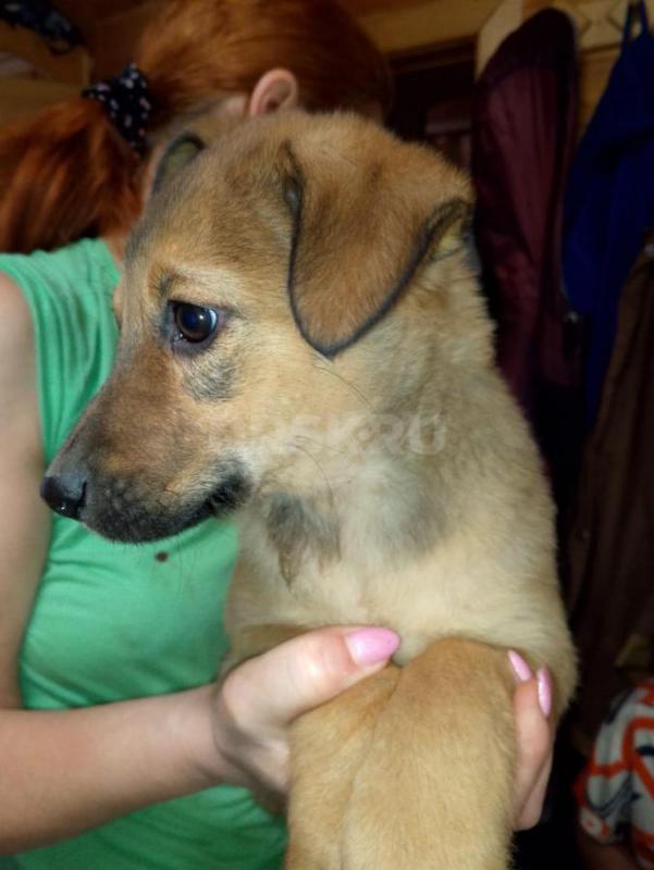 Орск, Новотроицк, Гай, Медногорск, Кувандык и другие населённые пункты ! - Орск