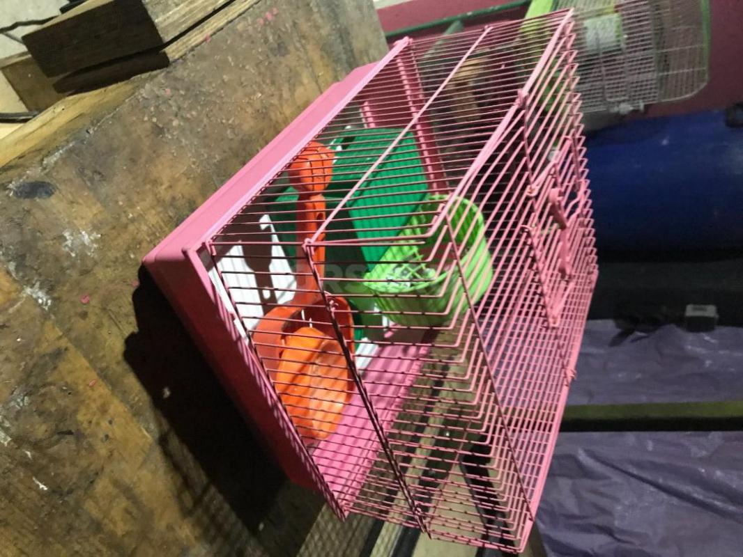 Клетка для мелкого грызуна. (хомяка и т. - Орск