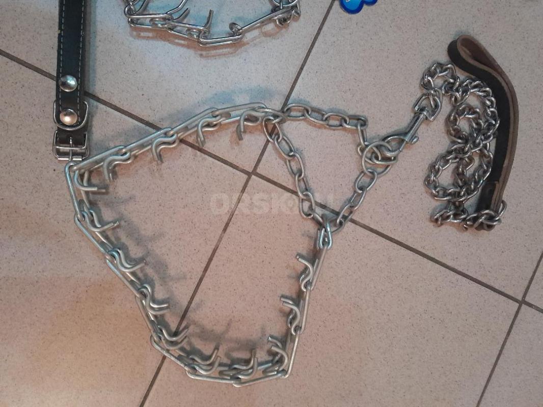 Ошейники и поводки от 500руб. - Гай