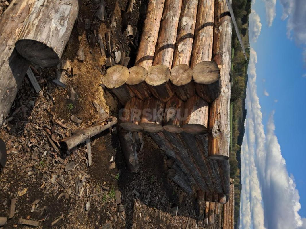 Срубы из сосны любых размеров под заказ. - Орск