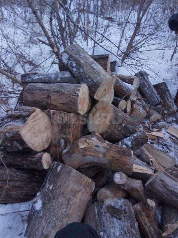 Продам дрова чурбаками 100% сухие даю гарантию. - Орск