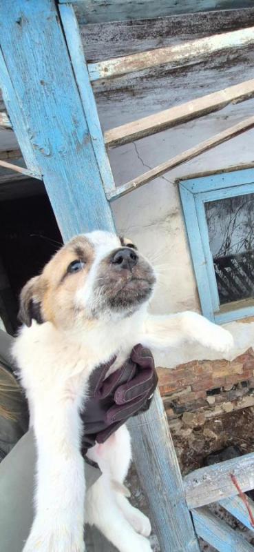 Орск, Новотроицк, Гай и другие населённые пункты, Земляки ! - Орск