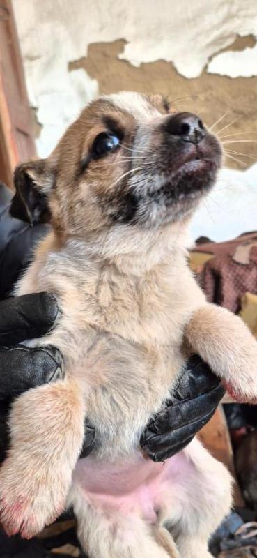 Орск, Новотроицк, Гай и другие населённые пункты, Земляки ! - Орск