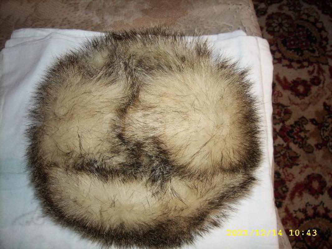 Продам новую шапку измеха Барсука , размер 55, в отличном состоянми - Орск