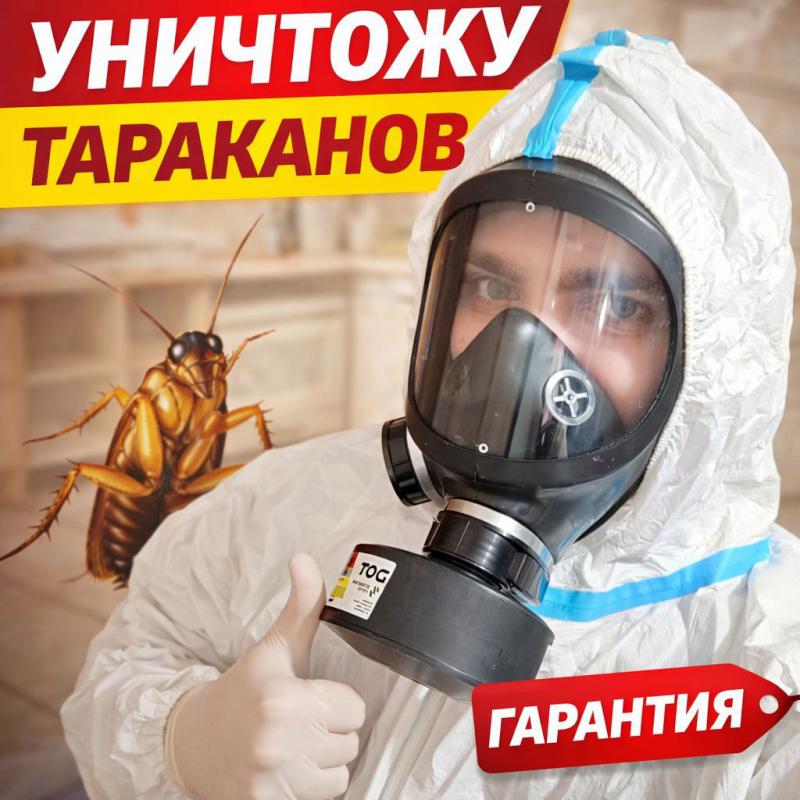 Уничтожение Насекомых.

🪳 Уничтожение тараканов
🛏 Уничтожение клопов
🐜 Муравьи и другие насекомы - Новотроицк