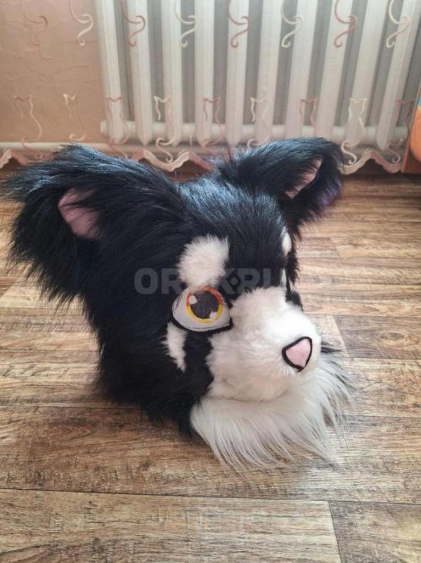 Фурсьют (Фурхед) кошки в отличном состоянии. - Орск