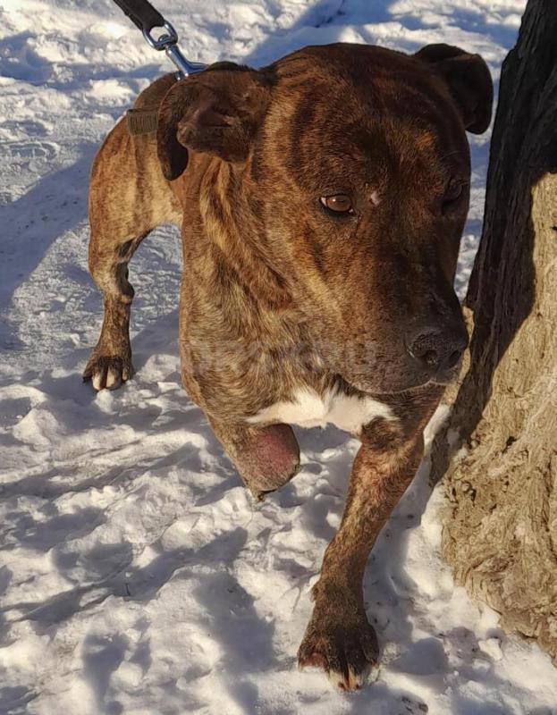 18.02.2026г в п. - Орск