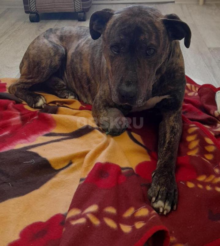 18.02.2026г. - Орск