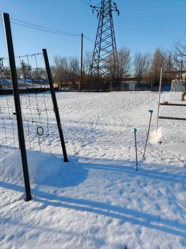 Продаю очень ухоженный сад ( Зеленхоз) . - Орск