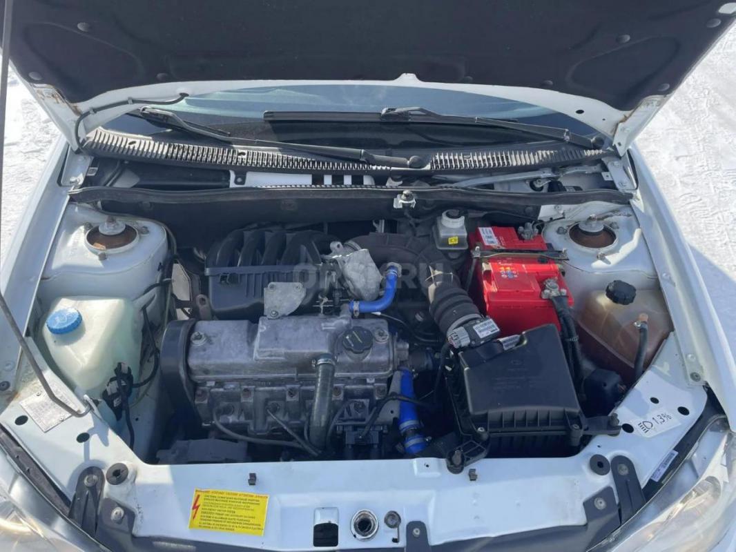 Продам калину. - Орск