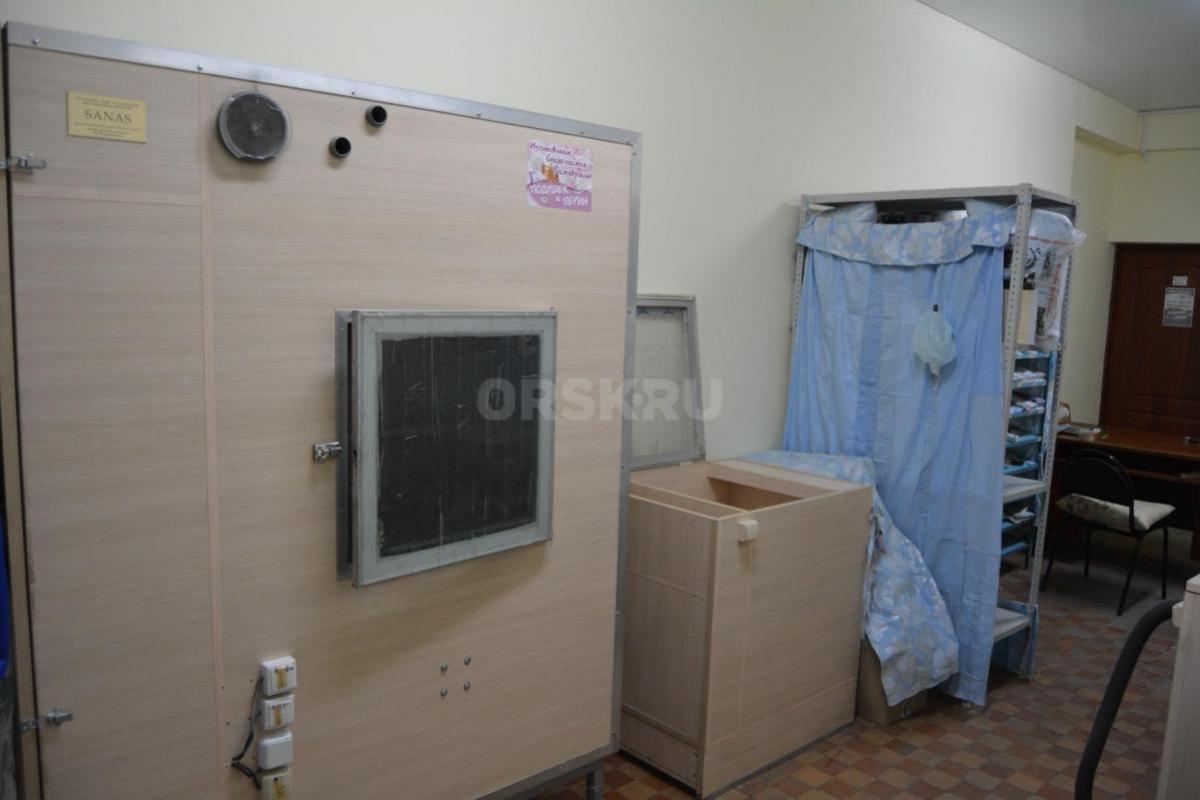 ЧИСТКА, РЕСТАВРАЦИЯ ПОДУШЕК, ИЗГОТОВЛЕНИЕ ПОДУШЕК, ОДЕЯЛ ИЗ ГУСИНОГО ПУХА-ПЕРА. - Орск