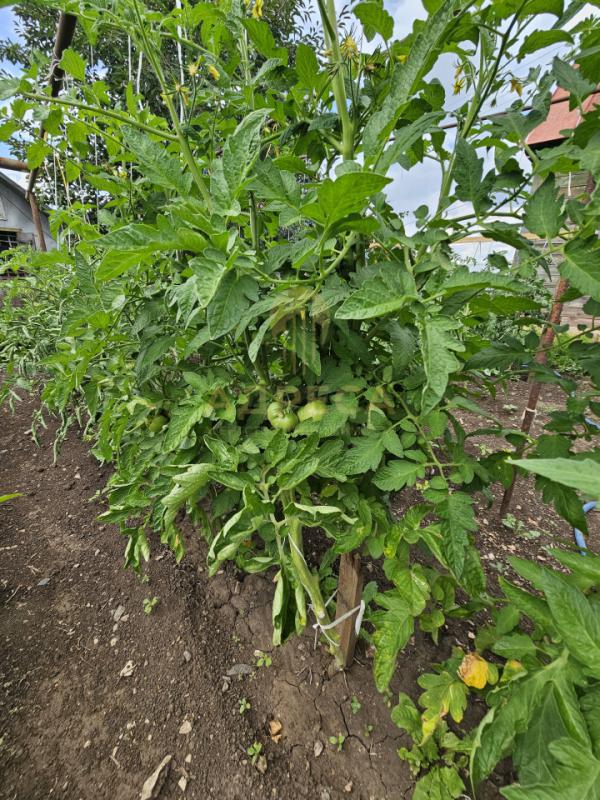 Пpодам дом 56.8 кв. - Оренбург