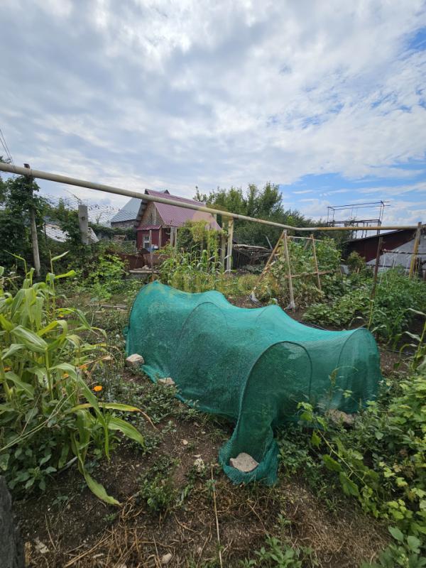 Пpодам дом 56.8 кв. - Оренбург