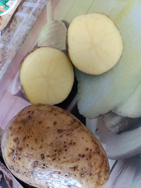 Продам картофель Гала, очень вкусный 30руб/1кг, - Орск