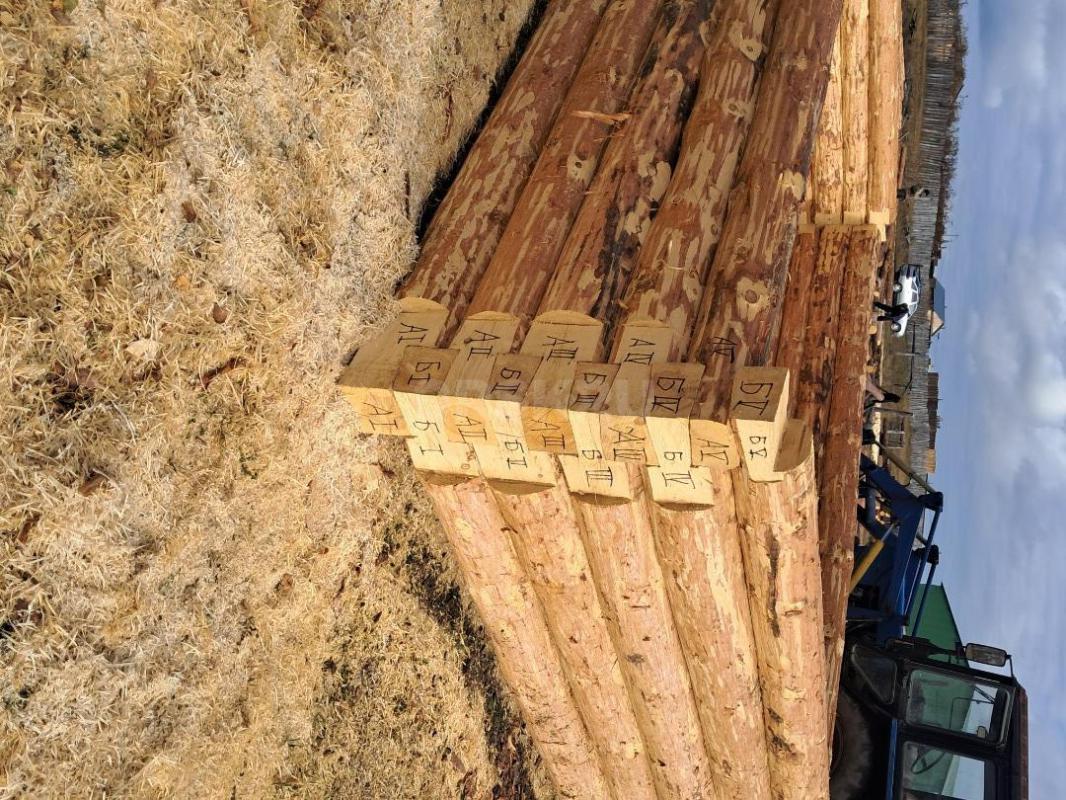 Срубы домов и бань  из сосны любых размеров под заказ. - Орск