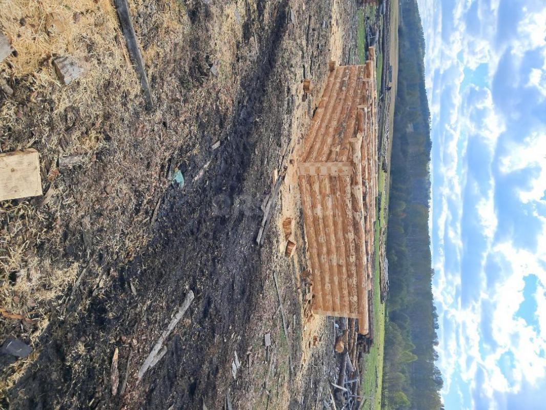 Срубы домов и бань  из сосны любых размеров под заказ. - Орск