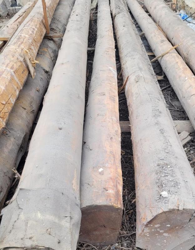 Продам шлакоблоки (50 руб/шт), кругляк 6 м- 4500 руб/шт, щиты деревянные- 250 руб/шт. - Орск