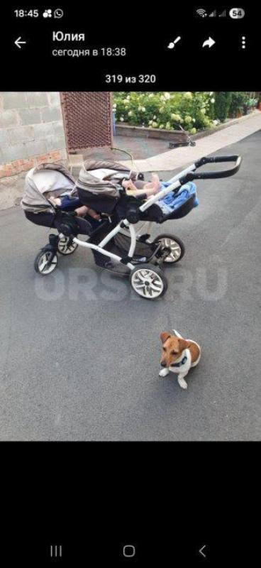 Коляска (трансформер) для двойни универсального не маркого цвета:
4люльки(2зимние,2летние);
+2 дож - Орск