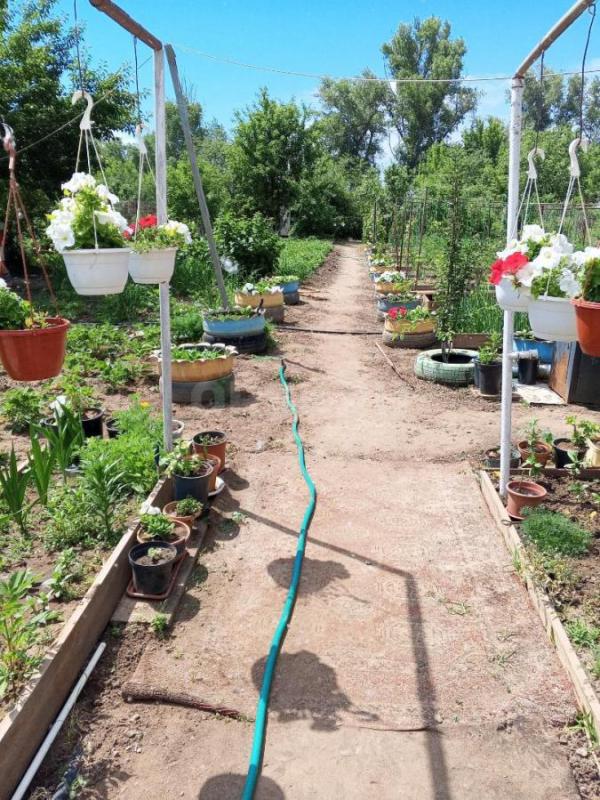 Продам сад имеется дом душ туалет мангальная зона есть скважина посадки яблони малина смородина крыж - Орск