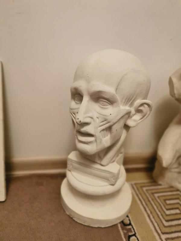 Гипсовые фигуры для изостудии или подготовки к поступлению в художественный вуз - Орск