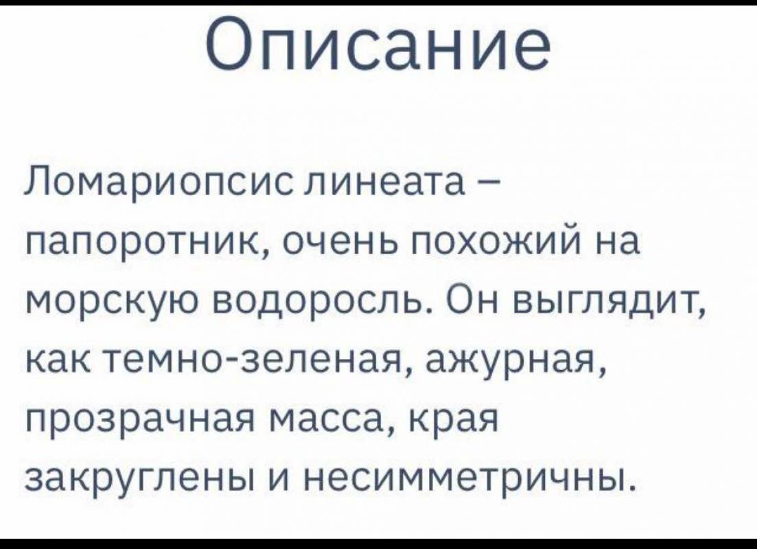 Аквариумное растение Риччия ,порция как на фото 500₽,Также есть Ломариопсис - Орск