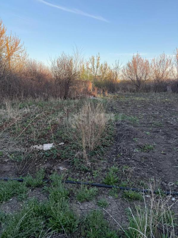 Продам сад. - Орск