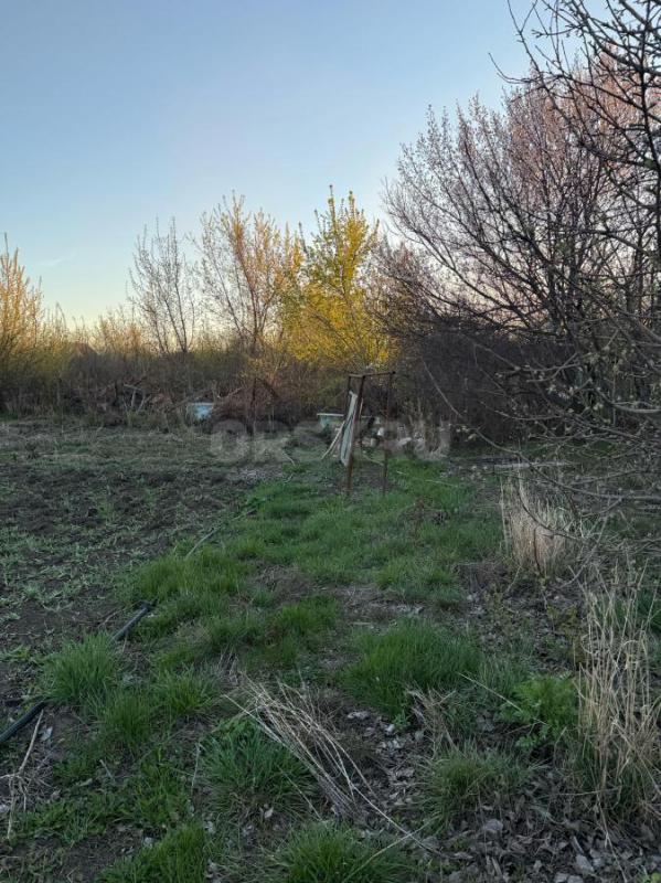 Продам сад. - Орск