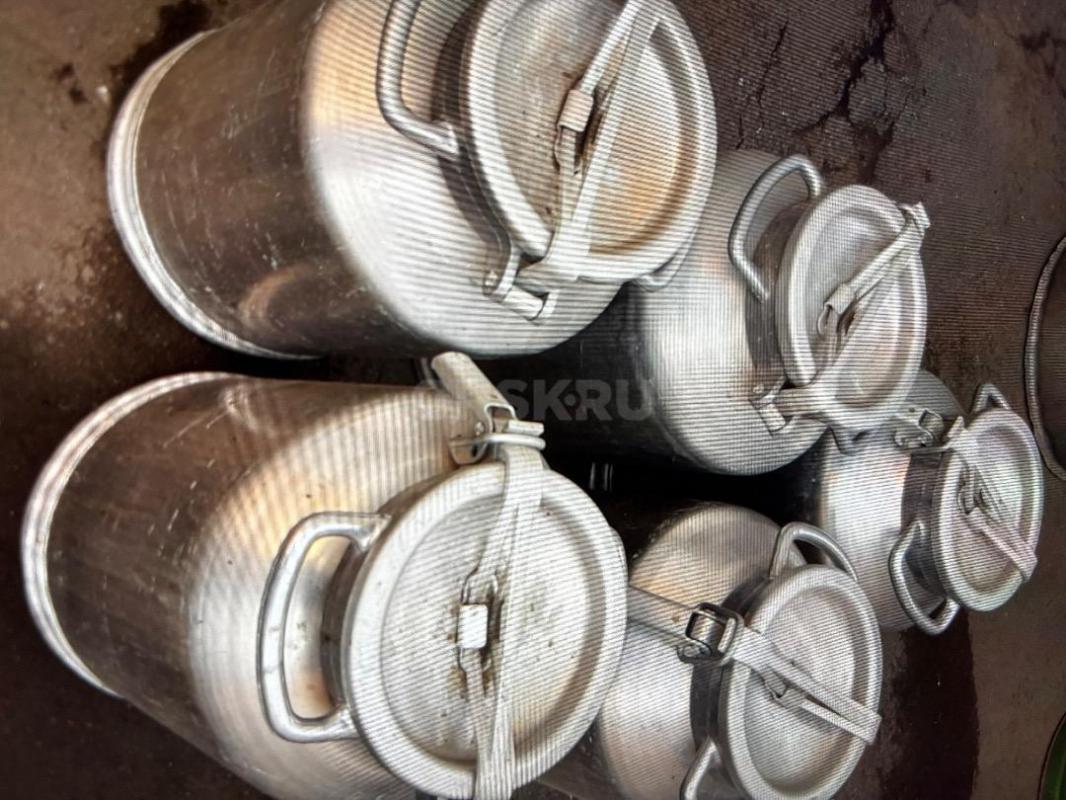 Продам ульи 1/2/3корпусные,медогонку алюминиевую,фляги пищевые - Орск