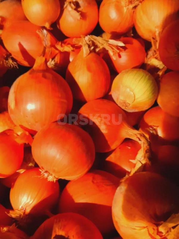 продам излишки с огорода свекла морковь  есть все по 1 мешку капуста есть еще  ЛУК   за кг - Орск