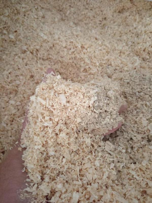 Продам стружку мелкую, сухую чистую, для подстилки цыплятам, утятам. 100 мешков, 1 мешок/100р. - Орск