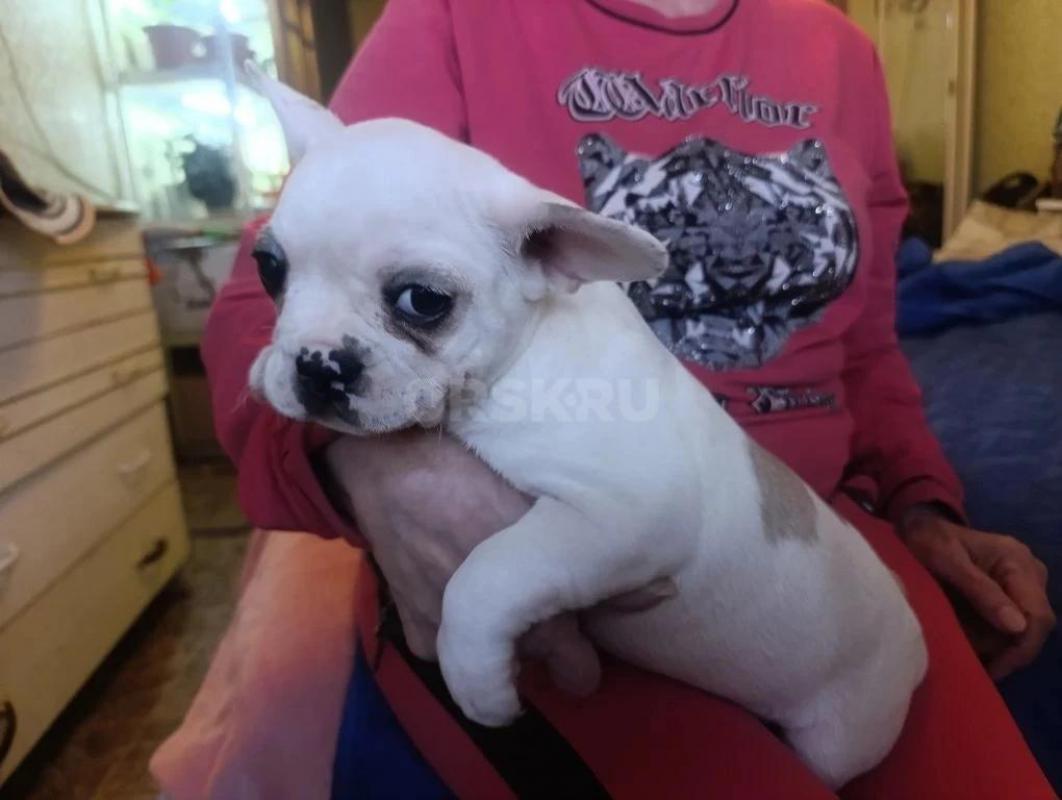 Мальчик и девочка. - Орск