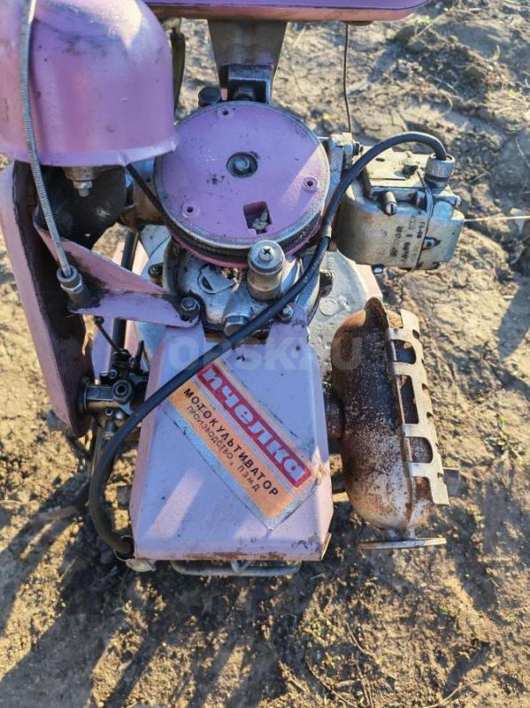 Продам мотокультиватор Пчелка. - Орск