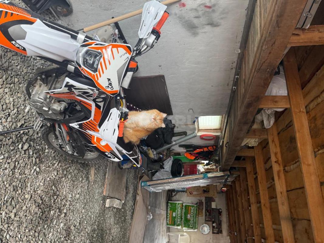 В продаже KAYO T2 PR 300 ENDURO,я второй владелец, покупался у знакомо, знакомый проехал на нем 49 к - Гай