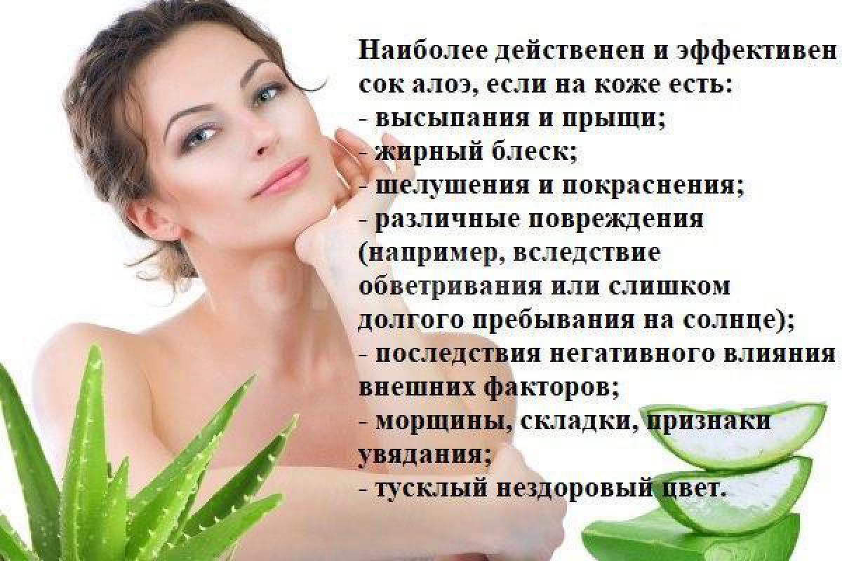 Лечебное чудо-растение Алоэ Вера и ранки заживит, и кожу омолодит, и иммунитет укрепит, и другой раз - Орск