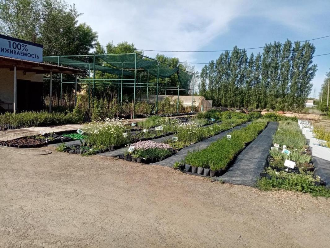 Подработка 1200р. - Орск