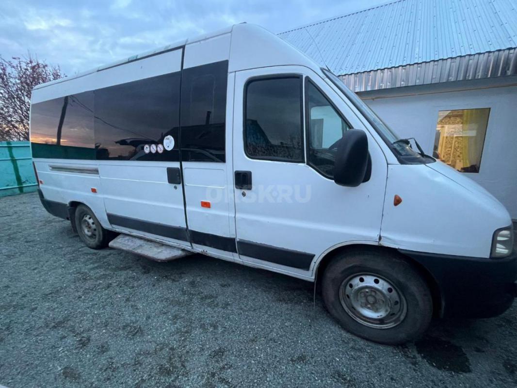 Продам Фиат Дукато Соллерс, машина в нормальном состоянии, масло не ест. - Орск
