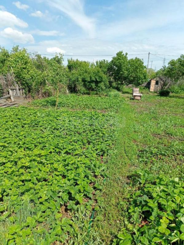 Продам сад 9 соток с домиком в собственности , не затопляемый СНТ СУ-3 ОЖС , г. - Орск