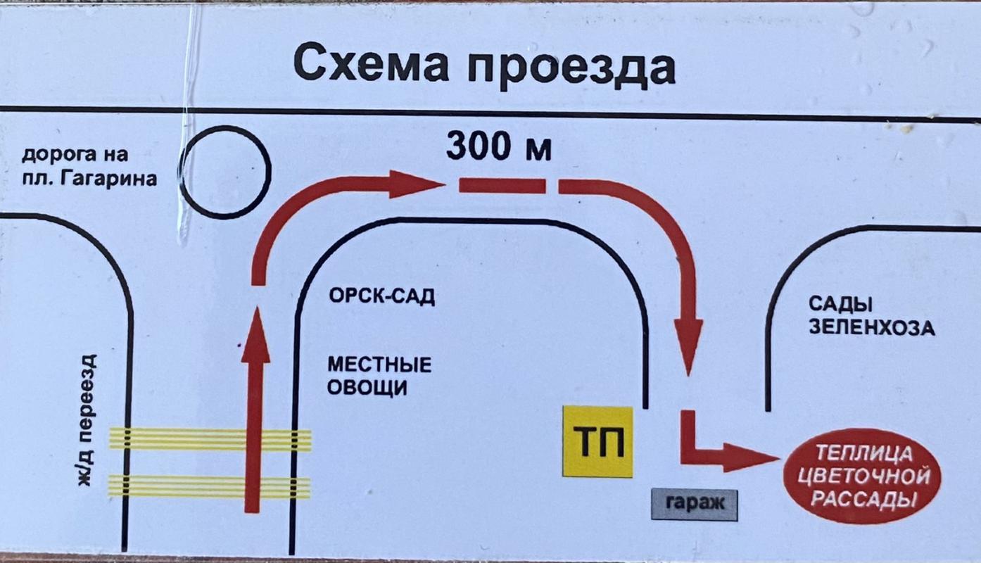 Мир петунии тел 89878616001 Евгения продает Петунию суперкаскадную крупноцветковая 15 рублей стаканч - Орск